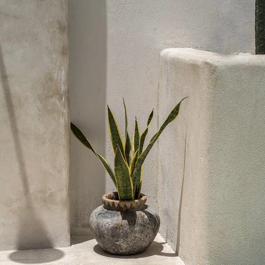 The Styly Vase | Antique Grey